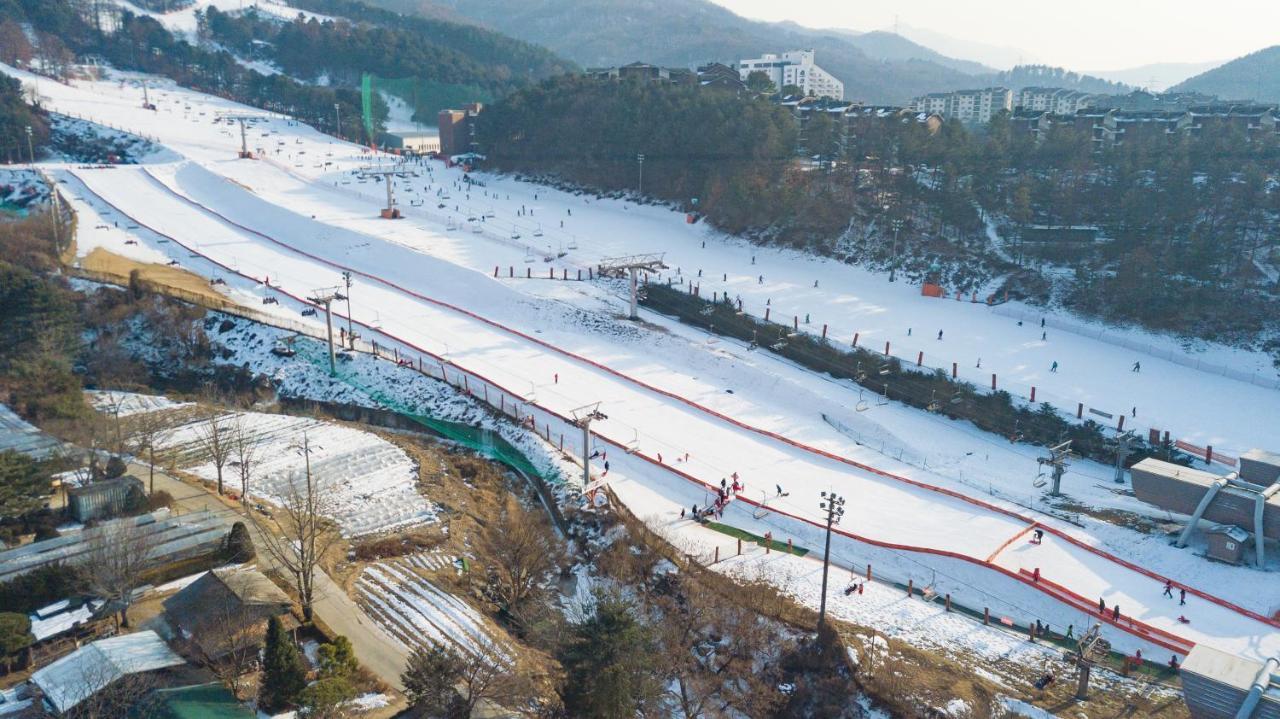 Bears Town Hotel Pocheon Exterior photo